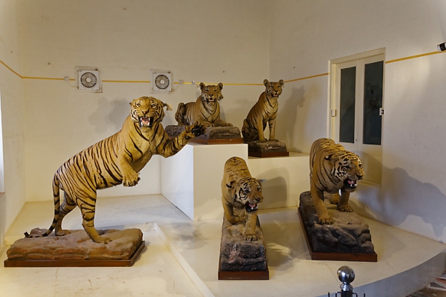 Gwalior-Jaivilas palace-052